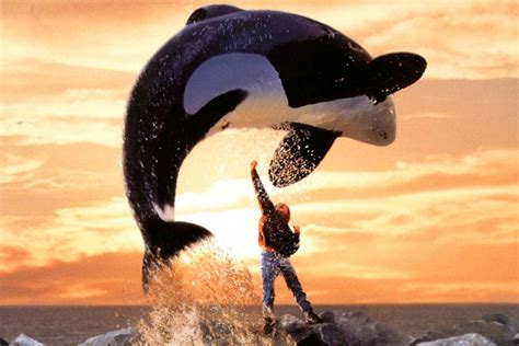gofilm free willy